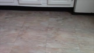 Speed Cleaning  Washing My Floor with NO Mop [upl. by Farrel]