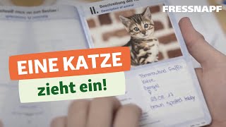 Katzeneingewöhnung Eine Katze zieht ein  Planung Gesundheit und Ausrüstung [upl. by Fan]