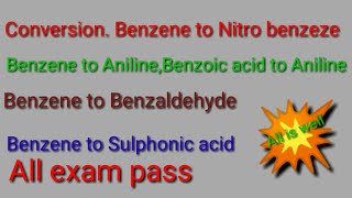 conversion Benzene to Aniline  benzoic acid to Aniline [upl. by Nnahaid526]