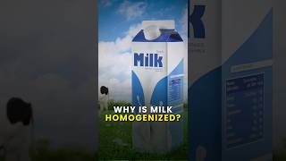 Whose milk is it anyways  barosi inspiringlyyours dairyfarming [upl. by Anitnatsnok]