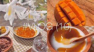 VLOG  10   roti tawar goreng  terong  aesthetic vlog  a day in my life  daily vlog  Nadia [upl. by Levan897]