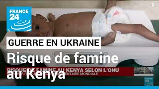 Guerre en Ukraine  risque de famine au Kenya selon lONU • FRANCE 24 [upl. by Yentterb296]