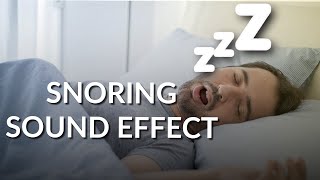 Snoring Loud  Sound Effect [upl. by Elatnahc]