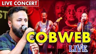 COBWEB LIVE Concert  6th Teej Music Festival 2019  Saljhandi  Sangam Digital  Cobweb [upl. by Dnalram]