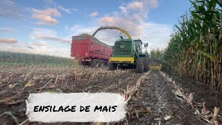 ensilage dans cette grande ferme de cote darmor [upl. by Jac]