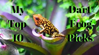 My Top 10 Favorite Dart Frogs [upl. by Regina]