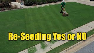 Reseeding Lawns  Does and Donts [upl. by Natiha]