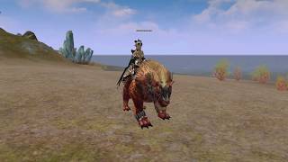 Agathion Mount Gold Maned Lion [upl. by Fair659]