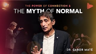 Dr Gabor Maté The Myth of Normal amp The Power of Connection  Wholehearted [upl. by Publia]