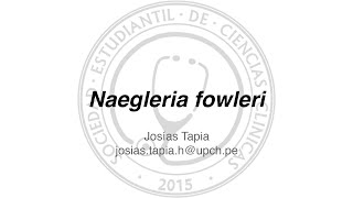 Naegleria Fowleri [upl. by Enihpesoj968]