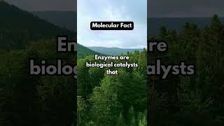 Random Biology Fact 2 enzymes biological chemistry facts trendingshorts [upl. by Akerdal]