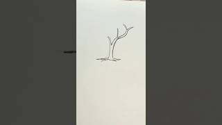 🌳 How To Draw A Tree 🌳 With Pencil beginners art [upl. by Mullen532]