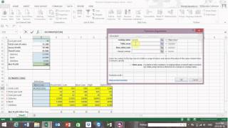 Dynamic Scenario Analysis for Excel [upl. by Kristel881]