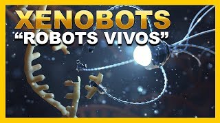 Los XENOBOTS los primeros quotROBOTS VIVOSquot del mundo [upl. by Naillij]