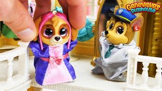 Paw Patrol Go Shopping at the Mall  Toy Learning Video for Kids [upl. by Mylo61]