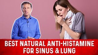 The Best Natural AntiHistamine for Sinus amp Lung Congestion – DrBerg [upl. by Obla]