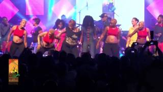 Koffi Olomide performs Micko Live at The Koroga Festival [upl. by Nwahsak321]