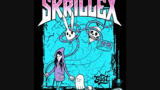 SKRILLEX Scatting [upl. by Sadella]