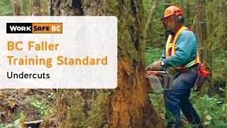 BC Faller Training Standard  Undercuts 8 of 17 [upl. by Enniotna]