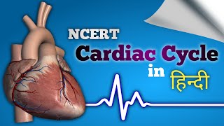 Cardiac Cycle  Systole amp Diastole  हृदय चक्र [upl. by Mendelson5]