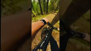 Mountain Biking  Fly off a drop and hit a 🌳 mtb mountainbiking sendit rainstormjig [upl. by Aljan]