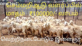 Semmari aadu valarppu  mecheri aaduMutton UnitTrending videostheevana muraitips for sheep form [upl. by Terryl]