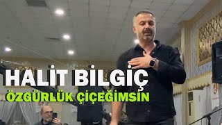 Halit Bilgiç l Özgürlük Çiçeğimsin [upl. by Mik]