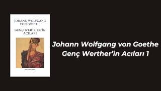 Johann Wolfgang von Goethe  Genç Wertherin Acıları 1 [upl. by Domenech]