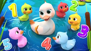 5 Little DucksLearn Colors Song  Lalafun Nursery Rhymes amp Kids Songs  cocomelon [upl. by Arikehs573]