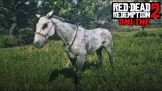 RED DEAD ONLINE JAI TROUVÉ LE PURSANG GRIS MAGNIFIQUE [upl. by Ocram]