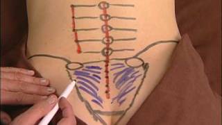 Anatomy Drawing of the Sacroiliac Ligaments [upl. by Asatan]