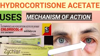 HYDROCORTISONE ACETATE EYE OINTMENT  CHLORAMPHENICOL WITH HYDROCORTISONE ACETATE EYE OINTMENT [upl. by Anwahs563]