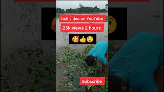 মাছ দরা 🥰fish catching videoshow to viral story video shortsshorttendingAipaintingfish viral [upl. by Anihsat143]