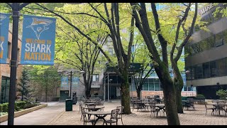 Experience LIU Brooklyn Campus [upl. by Golightly]