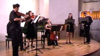 Telemann Concerto for two Clarinets Chalumeaux and Strings [upl. by Hedges]