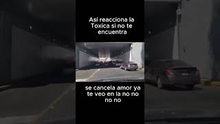 Así reacciona la Toxica si no te encuentra [upl. by Ylrehc]