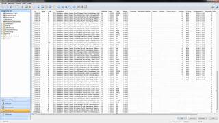 BSS Software für Dienstleister Planwerte in der Zeiterfassung im classic client [upl. by Eceela]