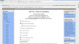 CIS 110 Introduction [upl. by Aikam]