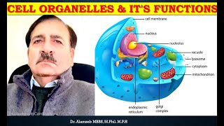 Cell Organelles amp its functions  Lectures by Dr Alamzeb [upl. by Idolah]