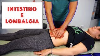 Quando un DOLORE ALLA SCHIENA è causato dallINTESTINO  Vlog 14  Intestino e lombalgie [upl. by Culley]