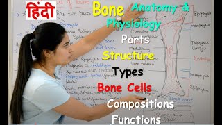 Bone Anatomy and Physiology in Hindi  Bone cells  compositions  Types  Structure  Functions [upl. by Peyter]