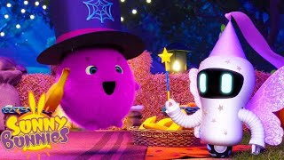 Fairy SMarty  SUNNY BUNNIES  Cartoons for Kids  WildBrain Bananas [upl. by Uht323]