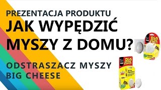 Jak wypędzić myszy z domu przy pomocy ultradźwięków Odstraszacz myszy Big Cheese Sposób na myszy [upl. by Lacy]