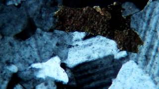 Biotite Exhibiting Pleochroism [upl. by Cartwell]