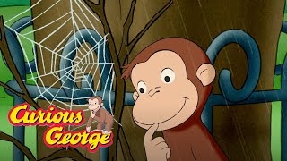 George The SpiderMonkey 🐵Curious George 🐵 Videos for Kids [upl. by Kjersti]