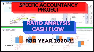 Specific Accountancy Project Class 12 CBSE on TCS for the Year 202021 [upl. by Fesuy]