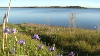 BARRAGEM ALBUFEIRO DO MONTE DA ROCHA [upl. by Kimber349]