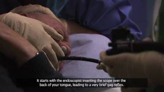 Bournemouth Digestive Diseases Centre Gastroscopy Procedure Subtitled [upl. by Jephthah266]