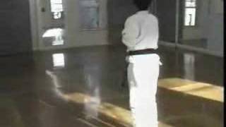 William Oliver  Seido Karate [upl. by Llohcin]