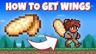 How to farm Wings in Terraria [upl. by Netfa]